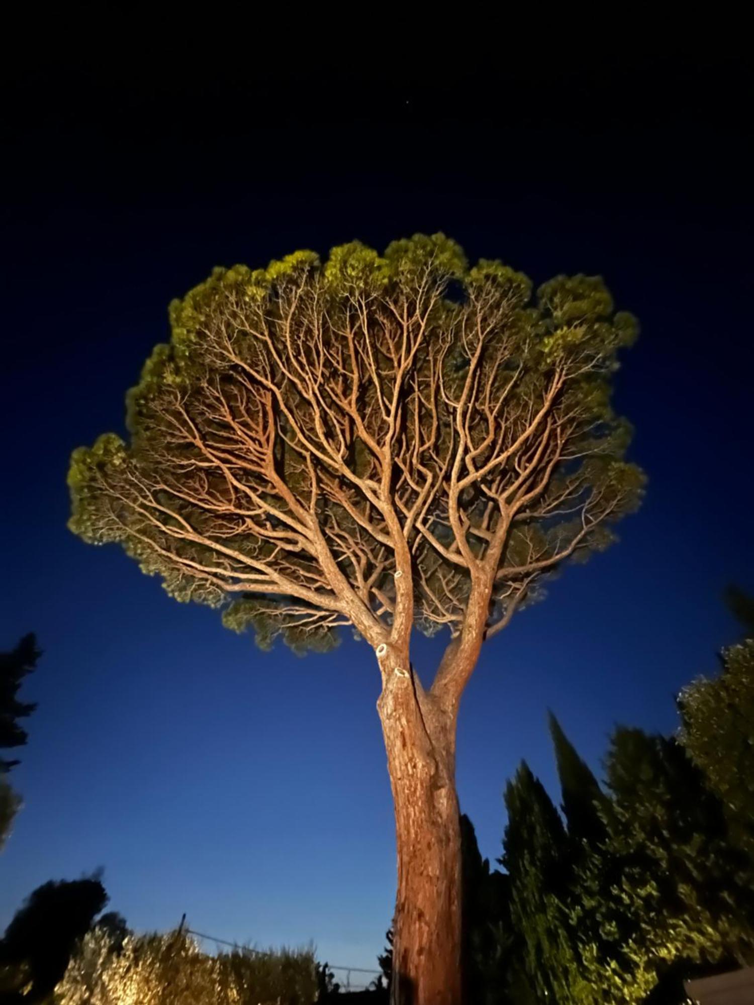 Villavos- Le Bocage กาซีส์ ภายนอก รูปภาพ